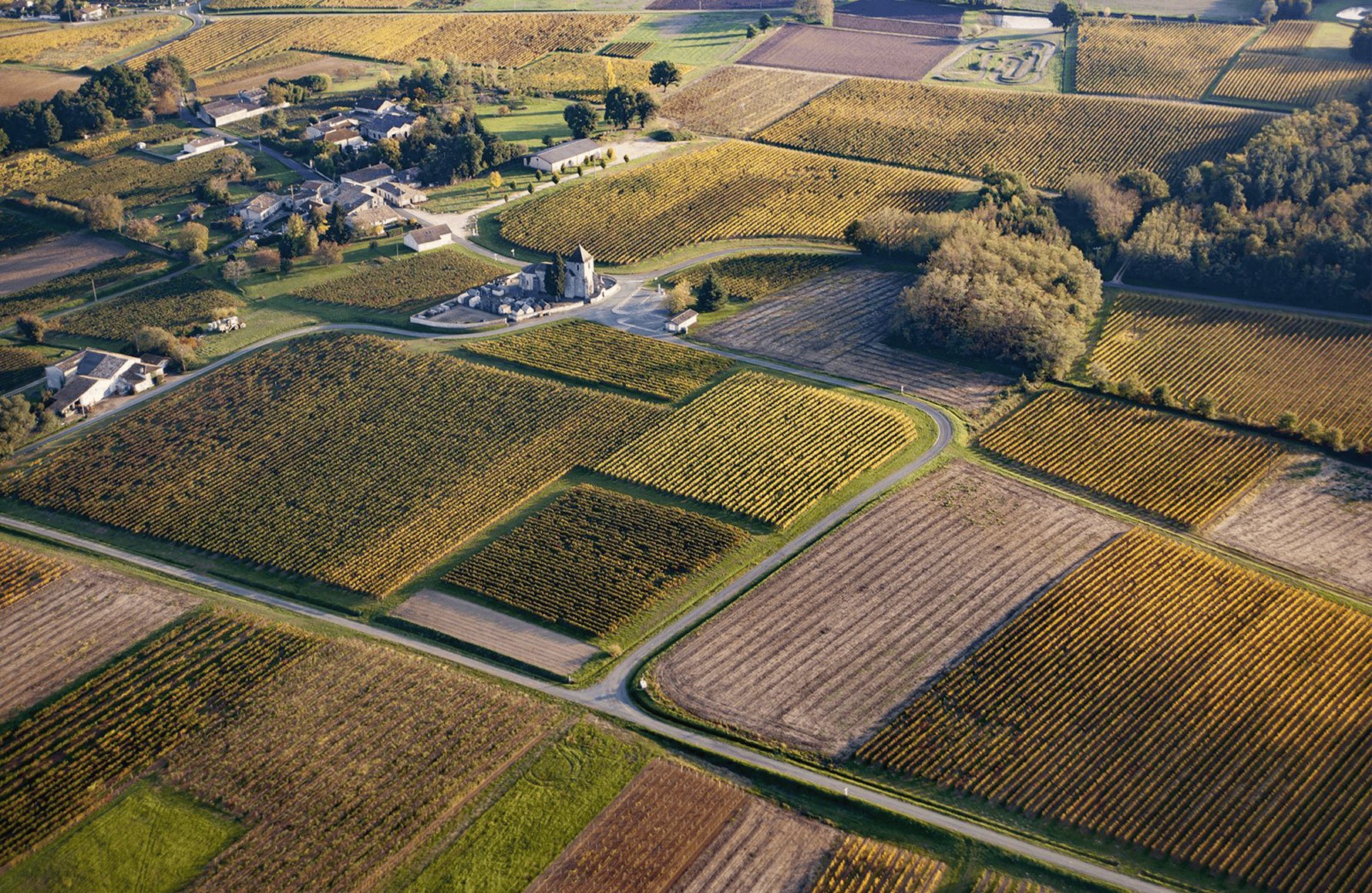 la historia de Château Joanin Bécot