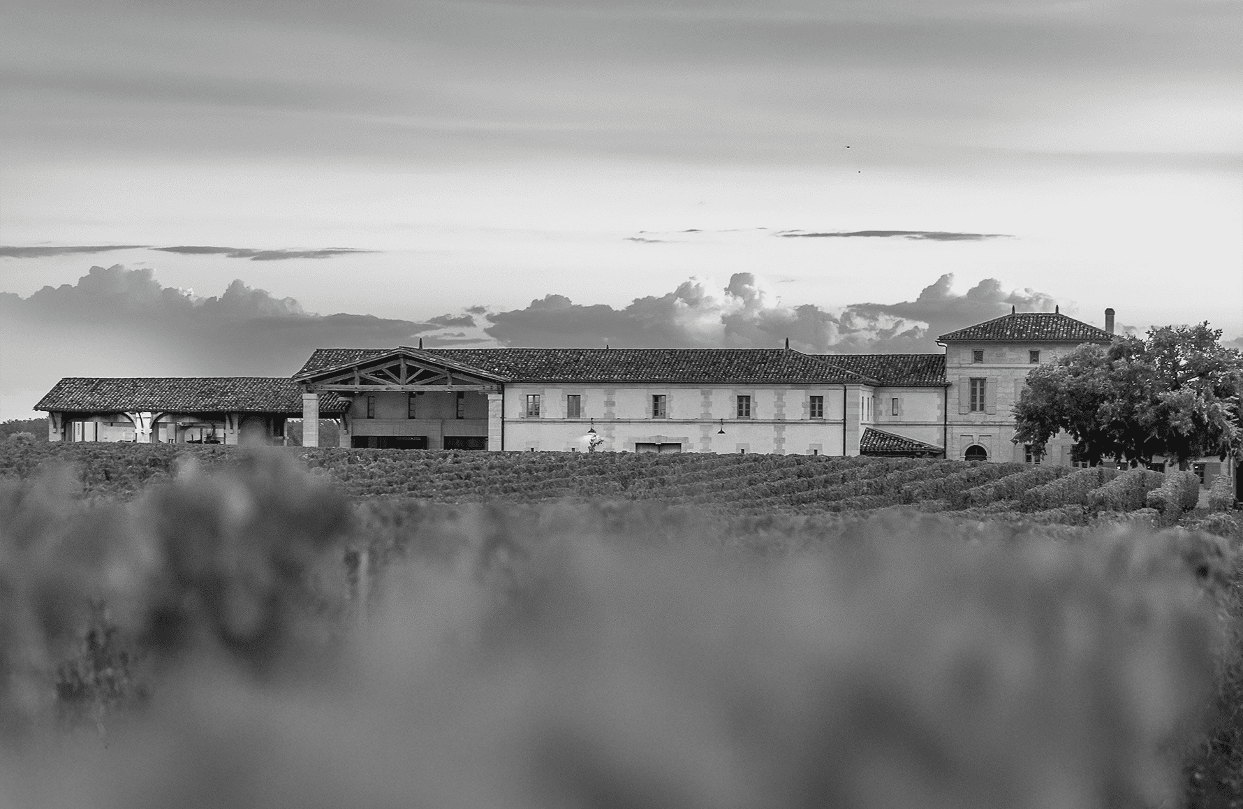 Vinos Château Lafleur