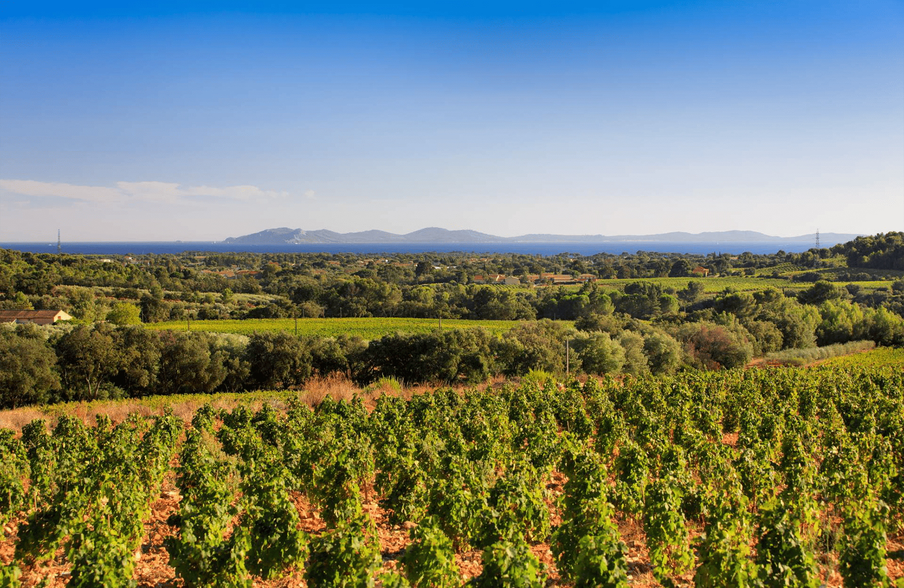 la historia de Château Les Valentines