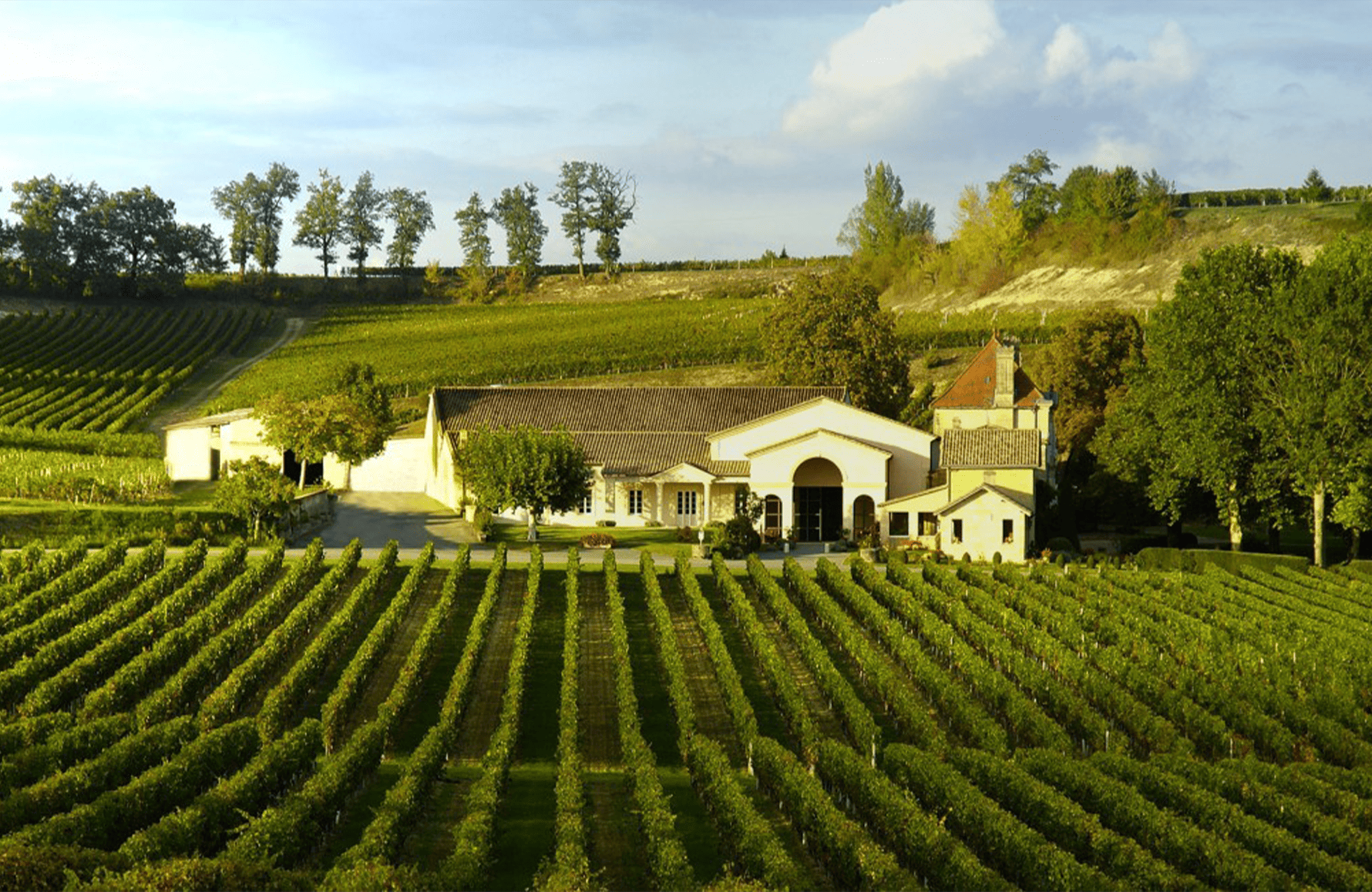 Wines Château Mangot