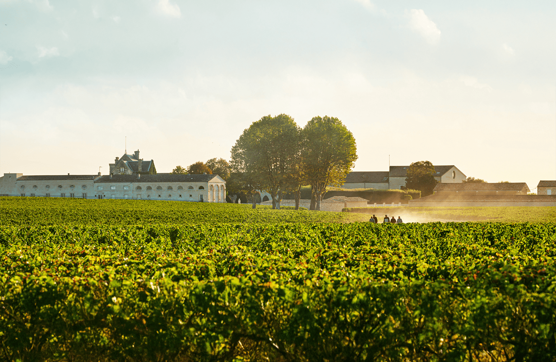la historia de Château Mouton Rothschild