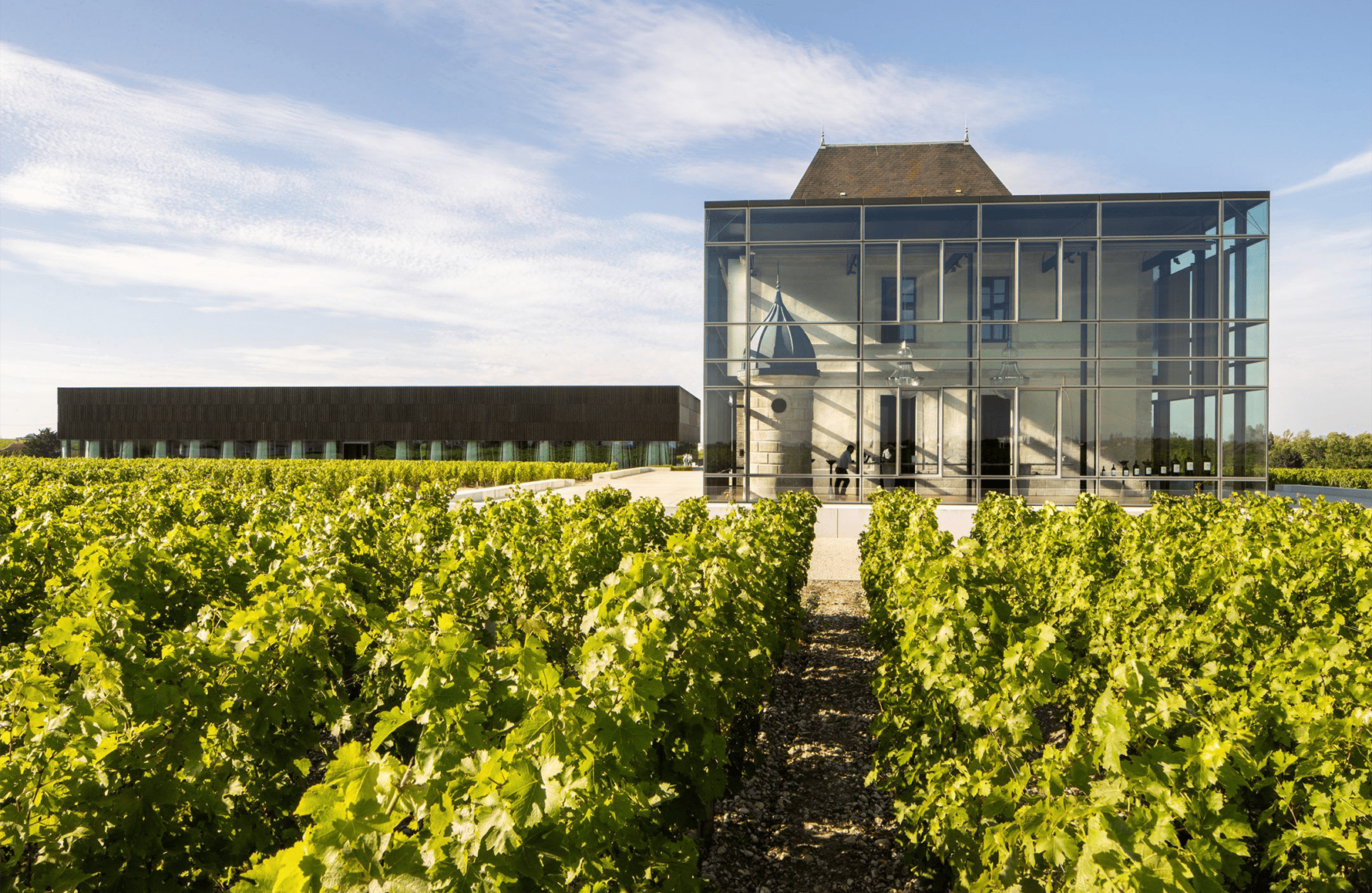 Wines Pedesclaux Castle
