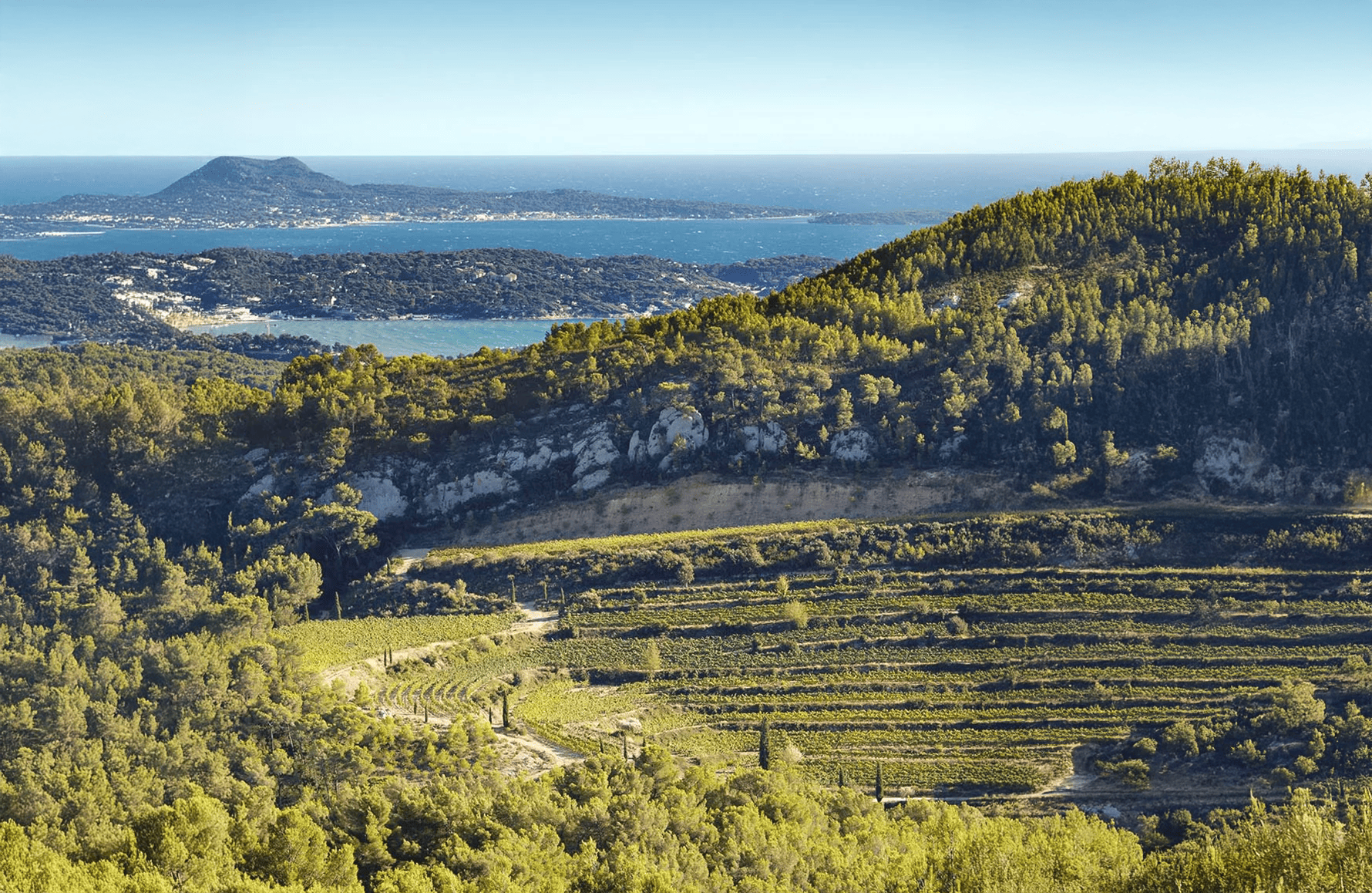 Vinos Château de Pibarnon