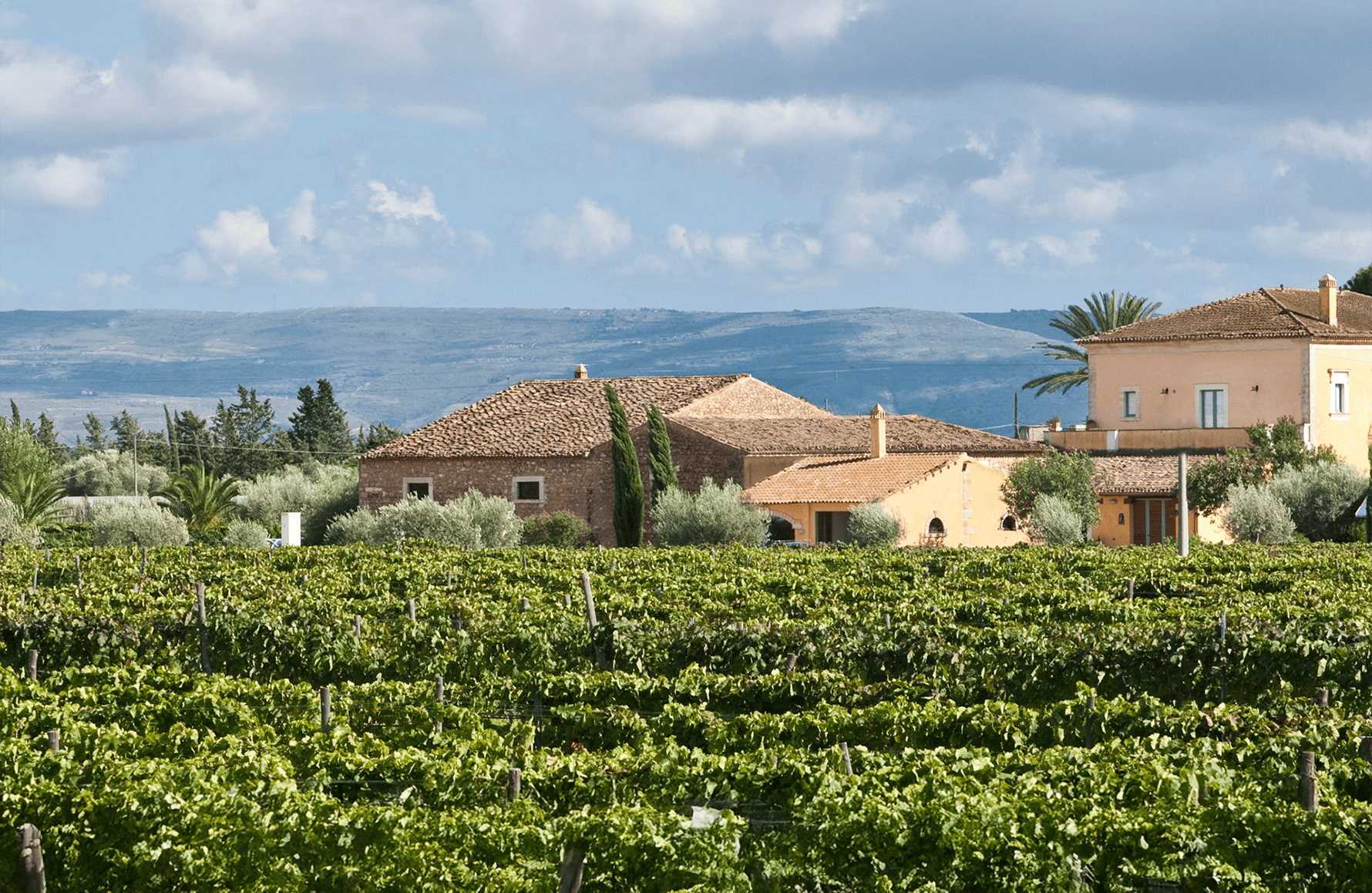 the story of COS - Italy