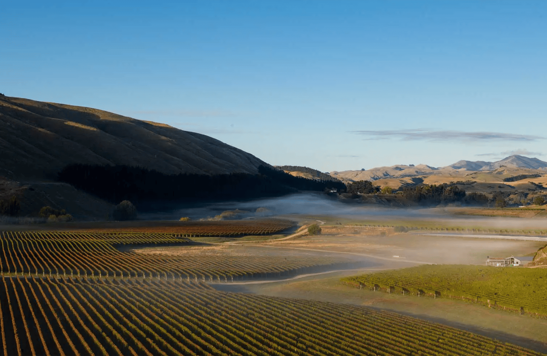 Wines Craggy Range - New Zealand