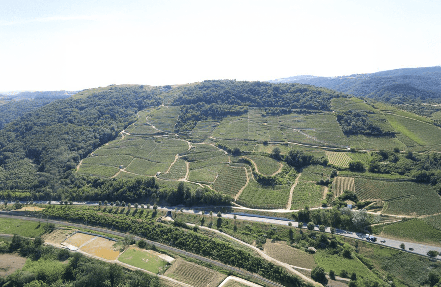 the story of Domaine Coursodon