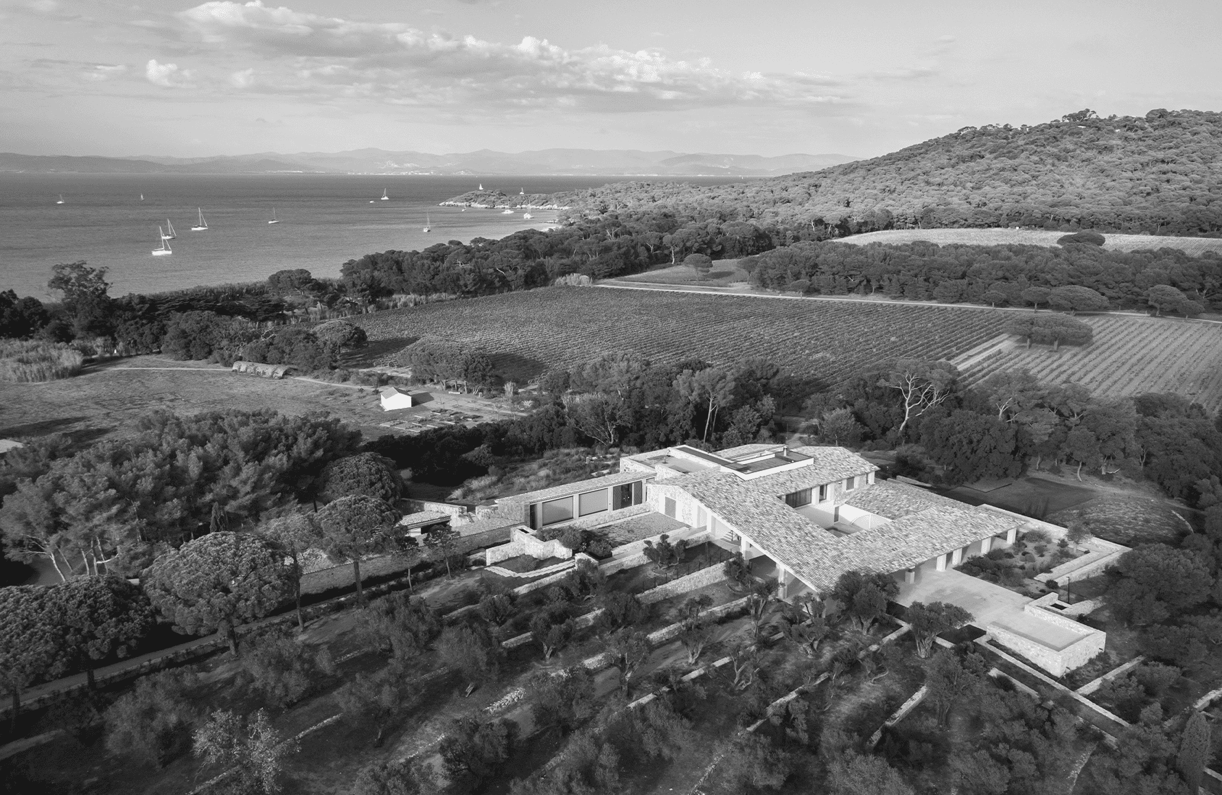 Wines Domaine De La Courtade