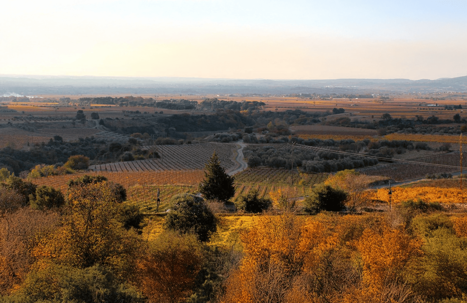 la historia de Domaine de la Réserve d'O