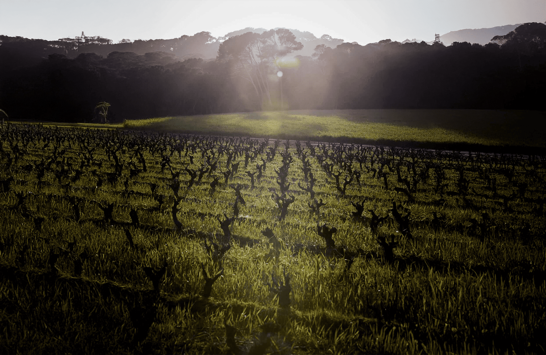 la historia de Domaine de l'île