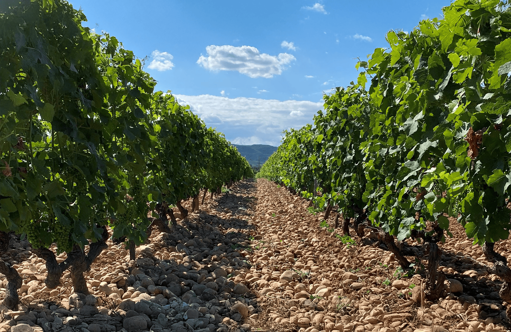 la historia de Domaine des Hauts-Châssis