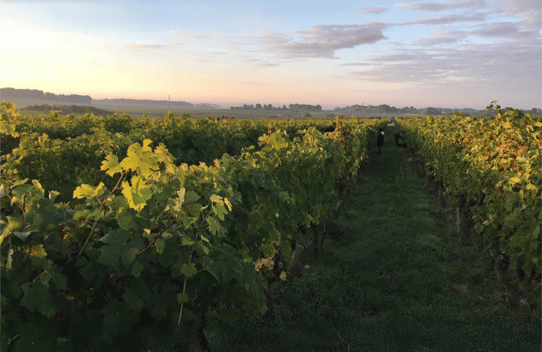 l’histoire du Domaine des Roches Neuves