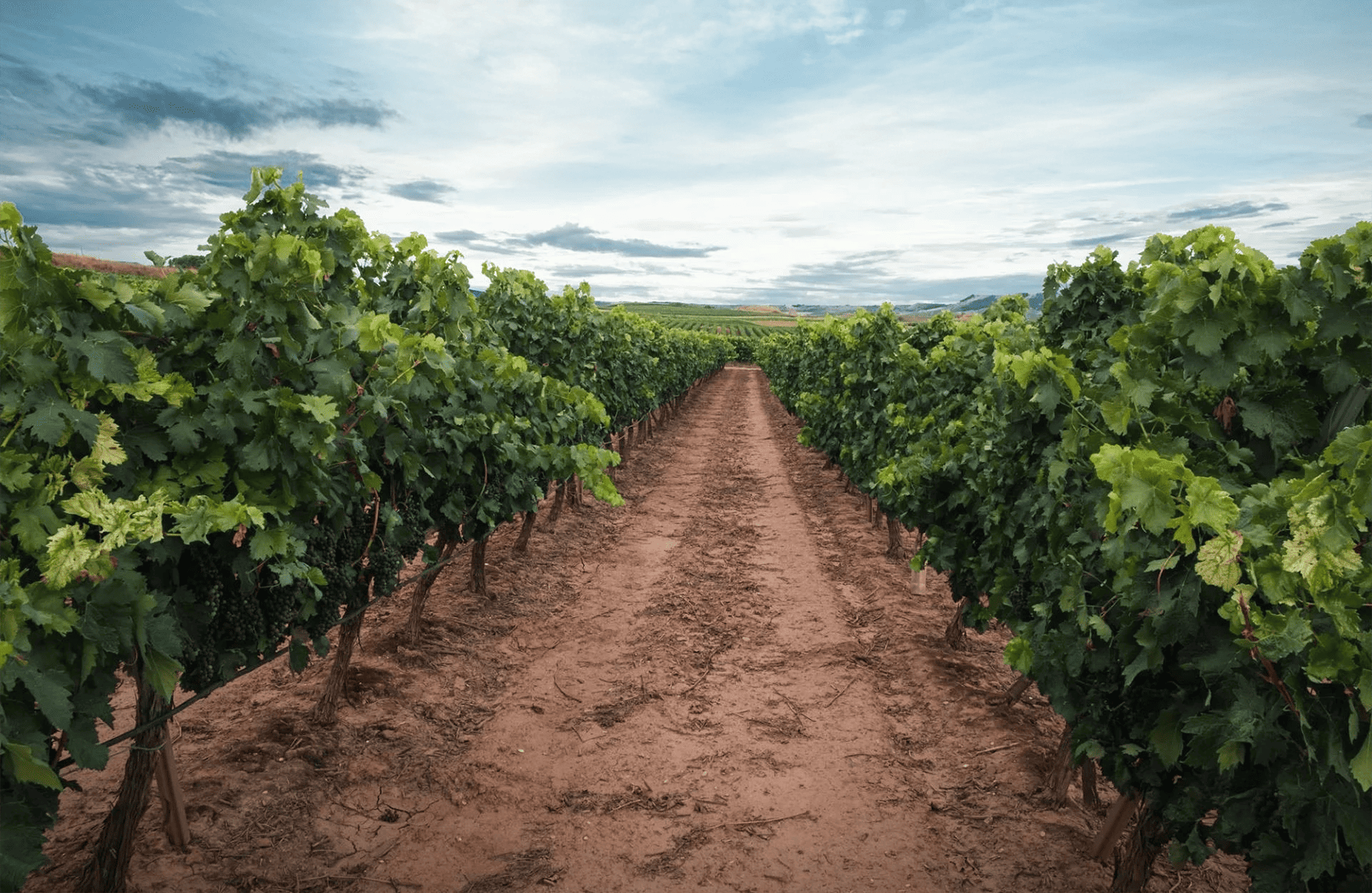 la historia de Domaine Gallet