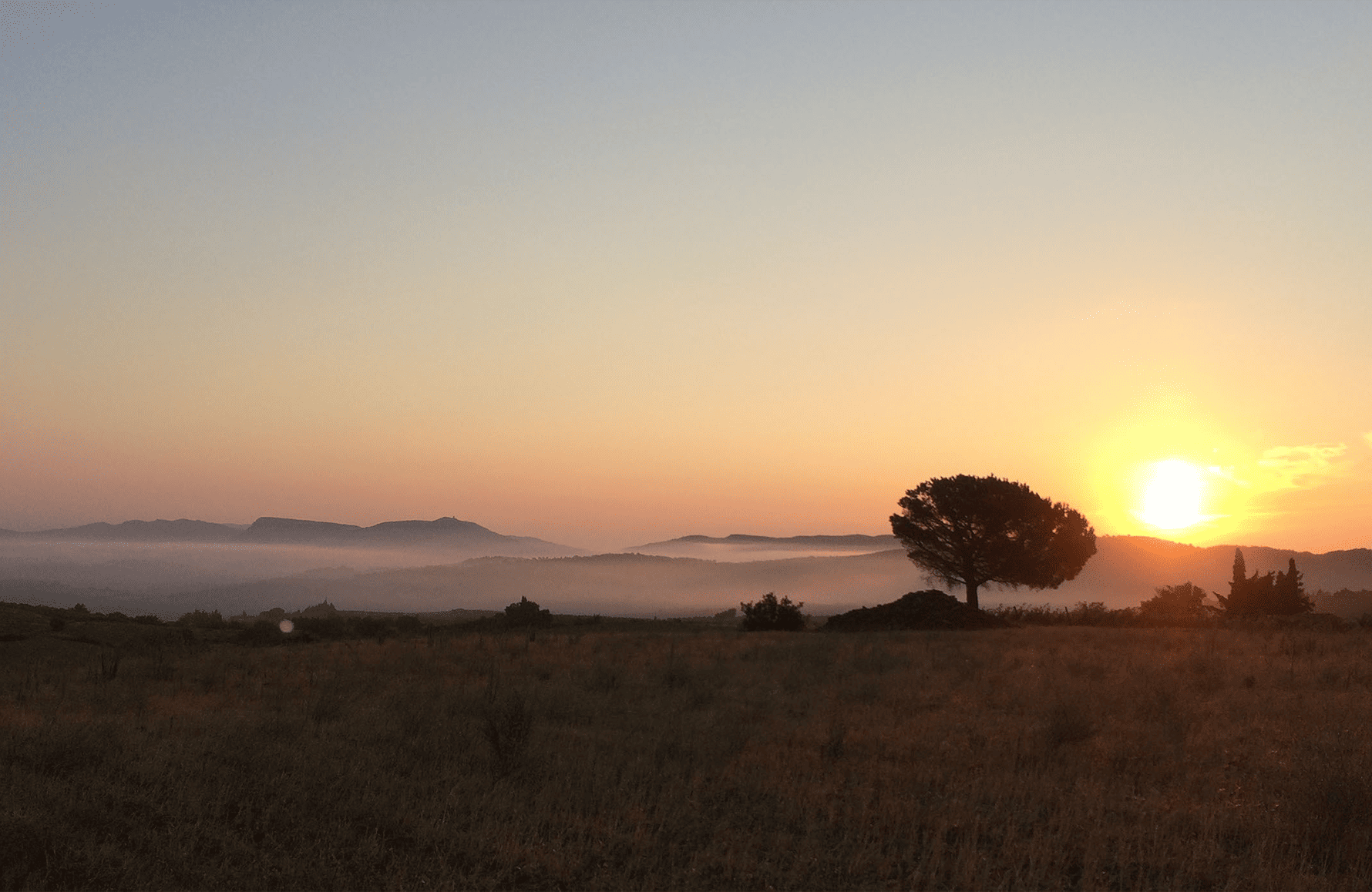 la historia de Domaine Le Roc Des Anges