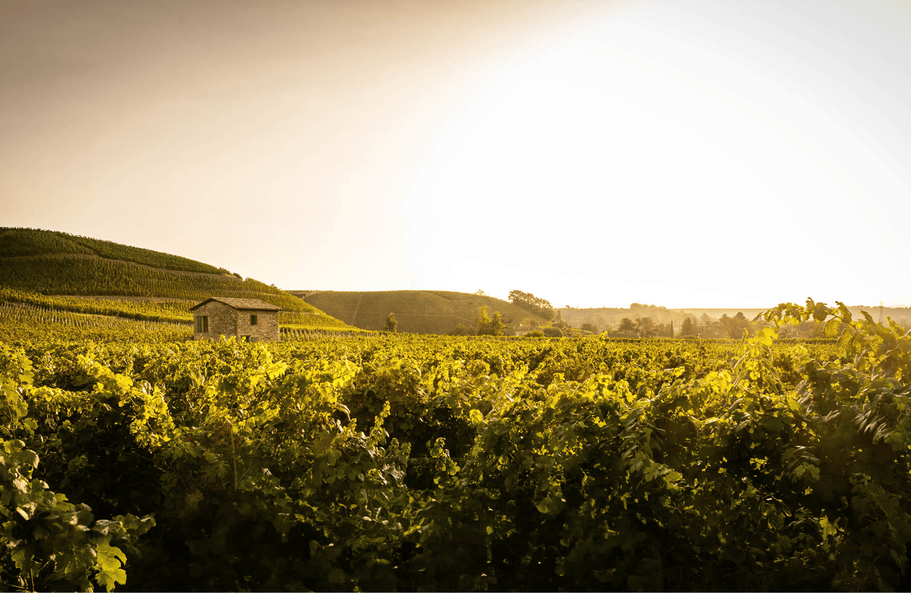 la historia de Domaines Paul Jaboulet Aîné