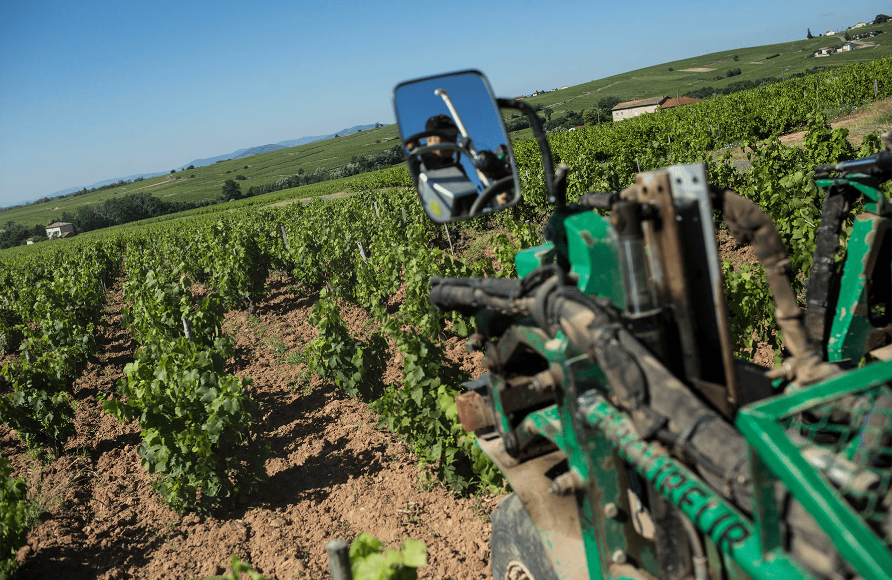 la historia de Domaine Paul Janin et Fils