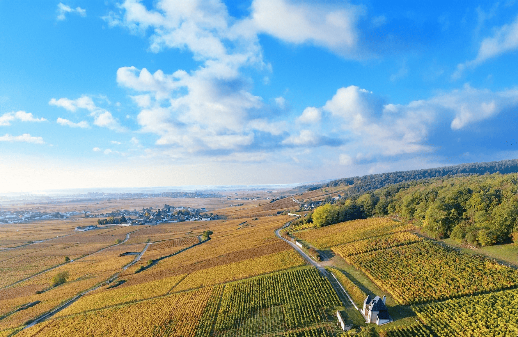 the story of Domaine Ponsot