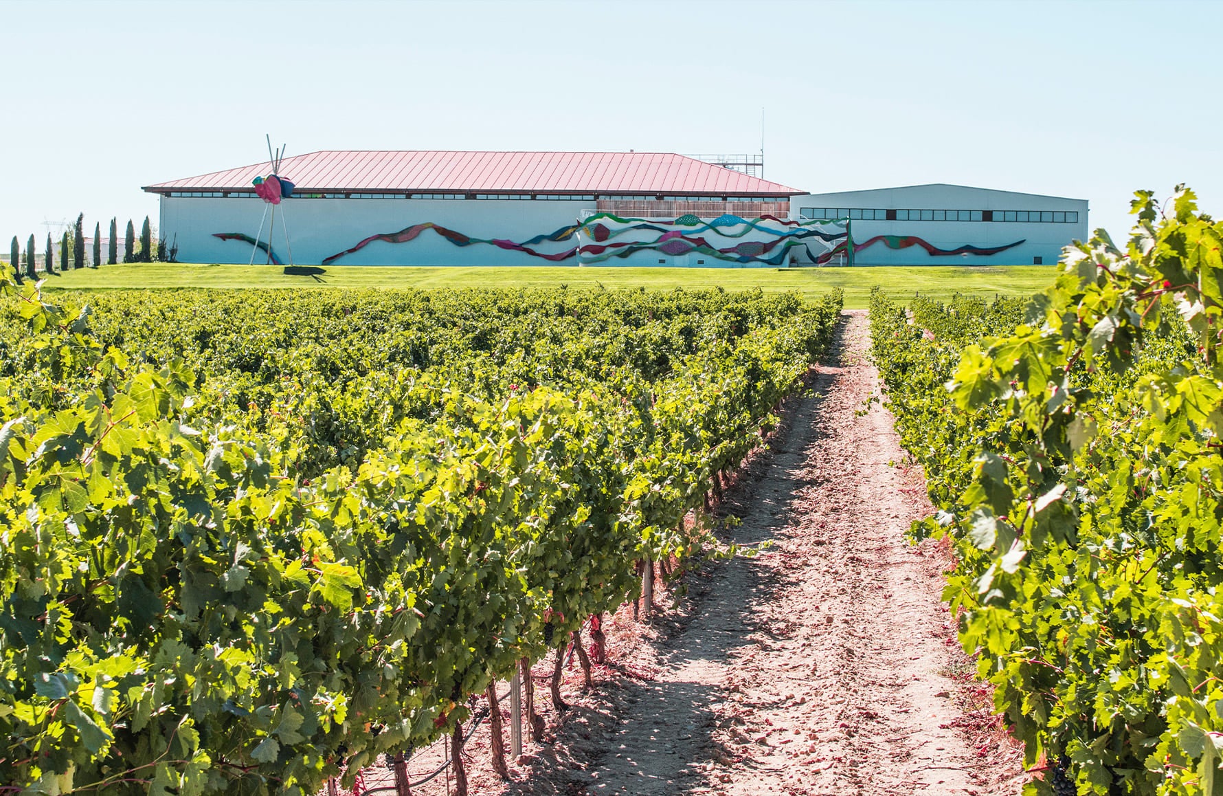 l’histoire du Dominio de Pingus - Espagne
