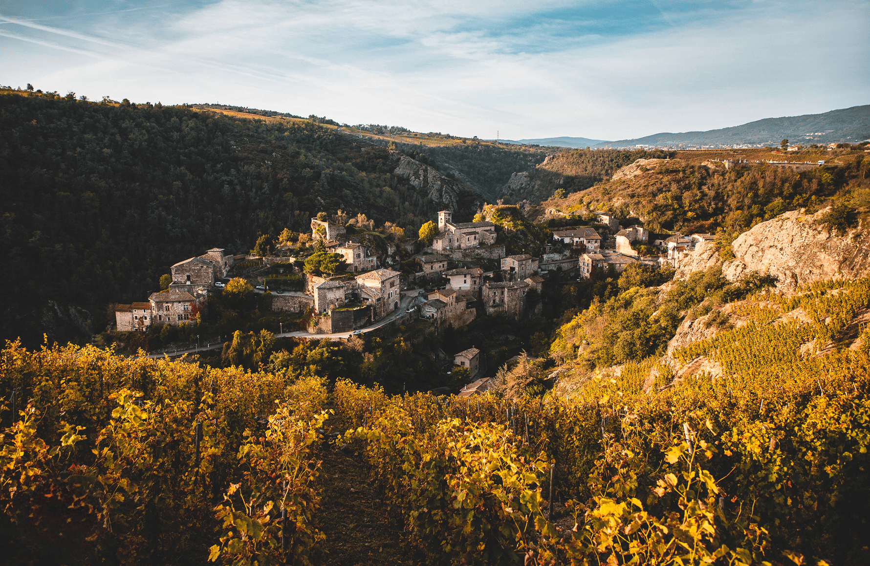 la historia de Domaine Pierre Gaillard
