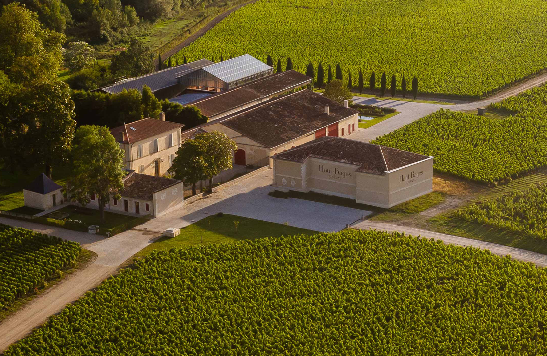 the story of Château Haut-Bages Libéral