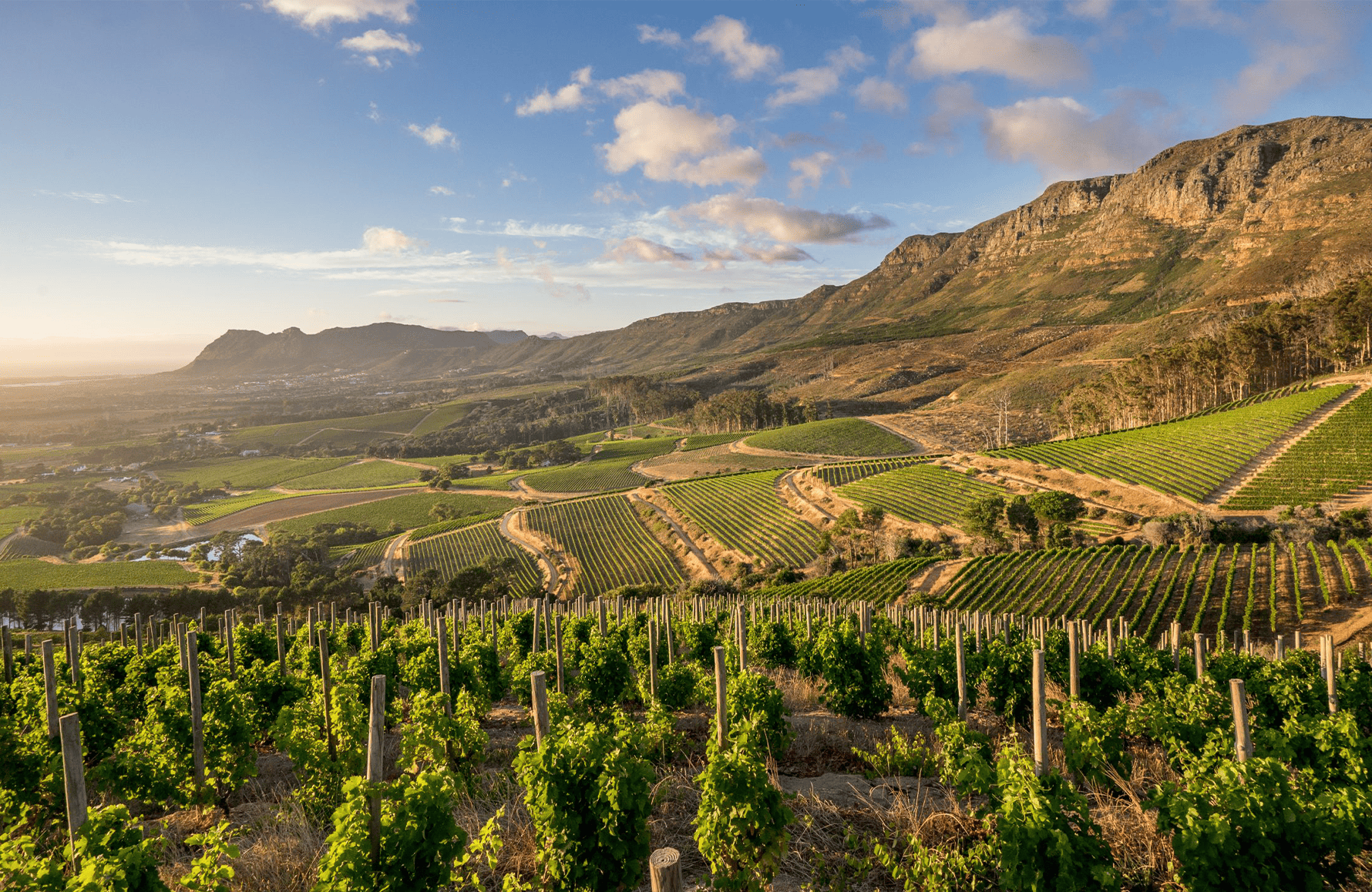the story of Klein Constantia - South Africa