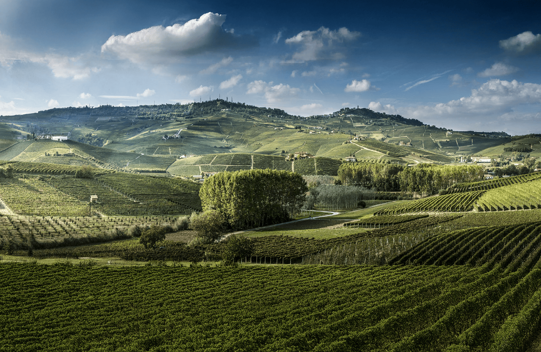 la historia de Luciano Sandrone - Italie