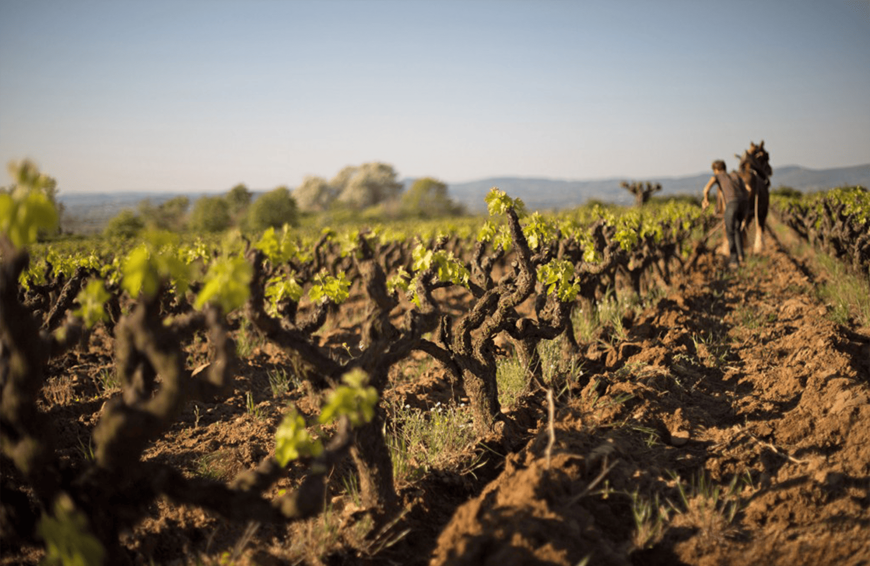 la historia de Mas de Libian