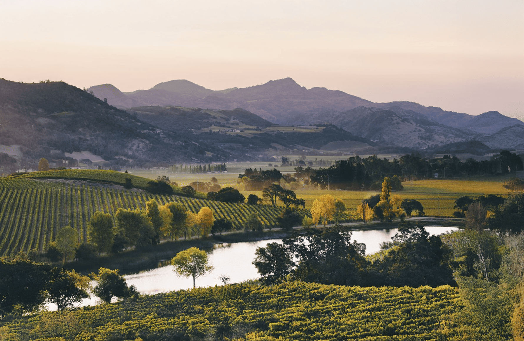 Vinos Quintessa Etats-Unis