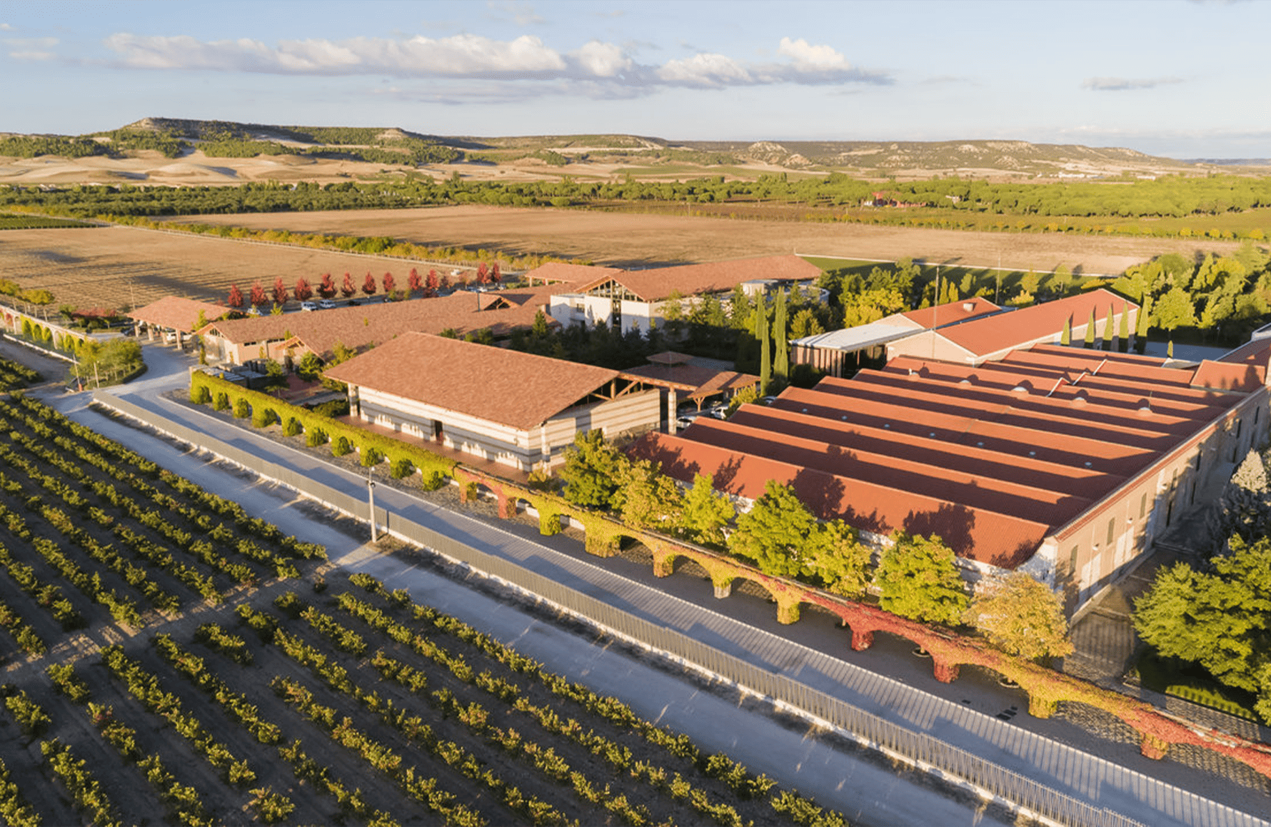 Wines Vega Sicilia - Spain